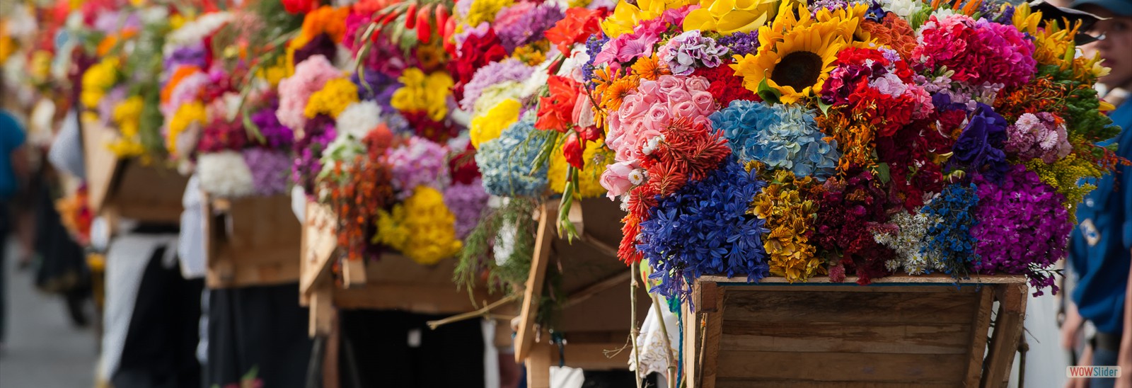 feria flores medellin